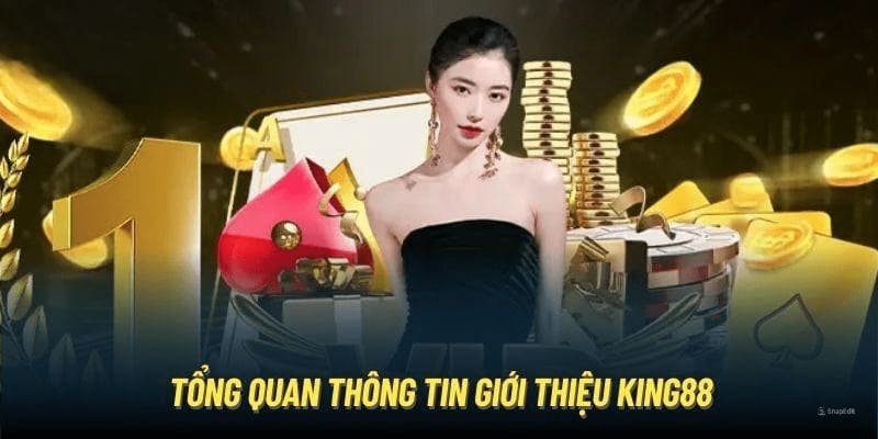 Bao trùm tổng quát giới thiệu king88